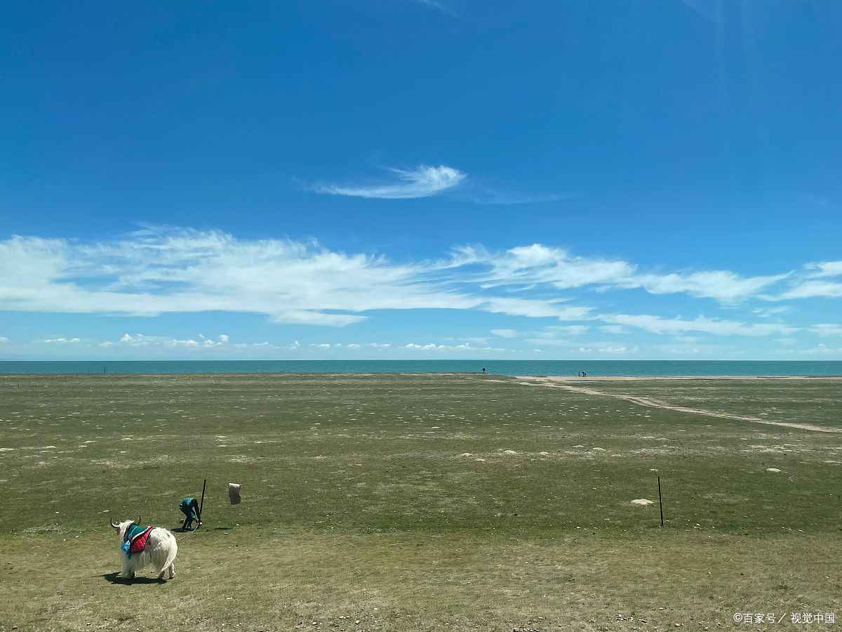 青海旅行社联系方式电话号码是多少